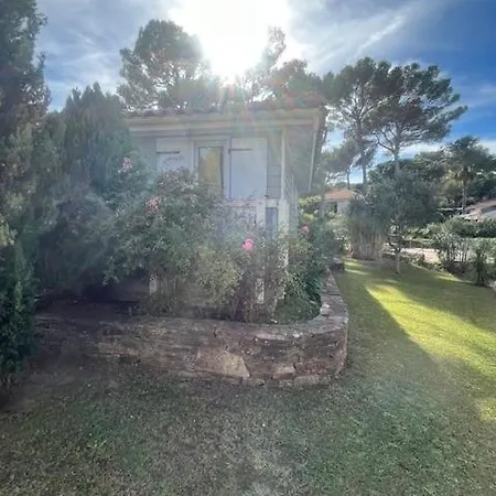 Bei Saint Tropez *