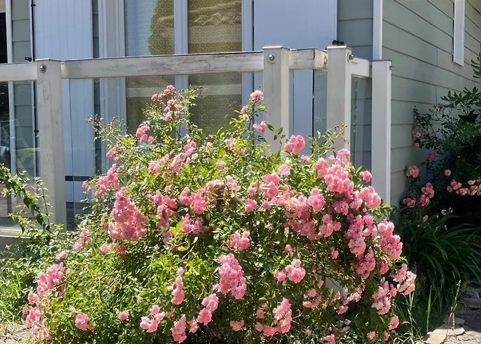 Ferienhaus Bei Saint Tropez